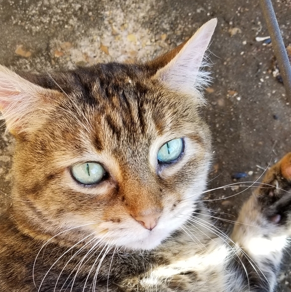 Meet your Posher, Posh - Picture 1 of 1